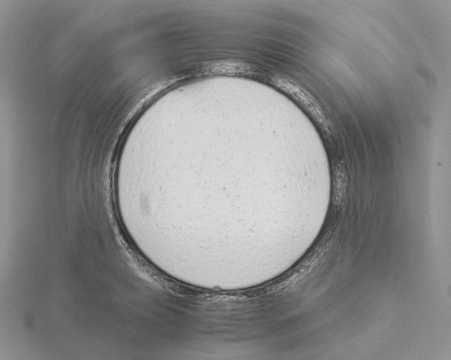 X0000115141039200912081322