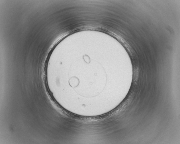 X0000115141042200912081322