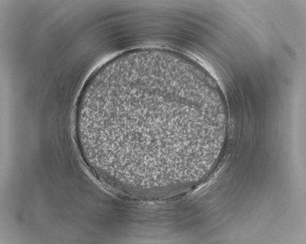 X0000115141045200912081322