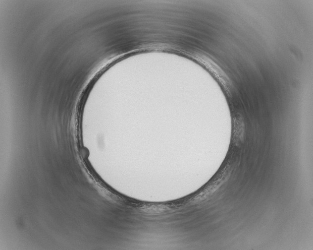 X0000115141046200912081322