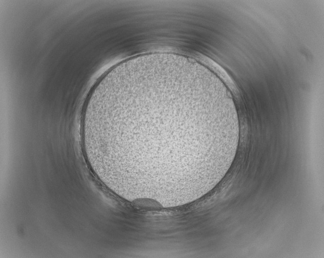 X0000115141051200912081322