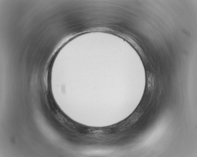 X0000115141054200912081322