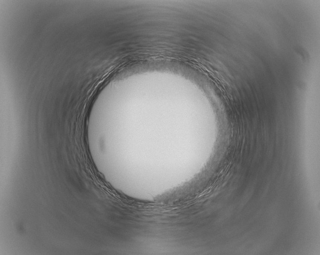 X0000115141057200912081321