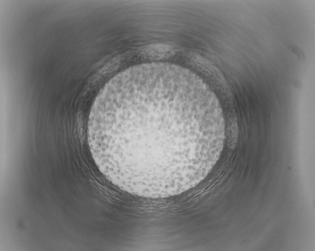X0000115141058200912081321