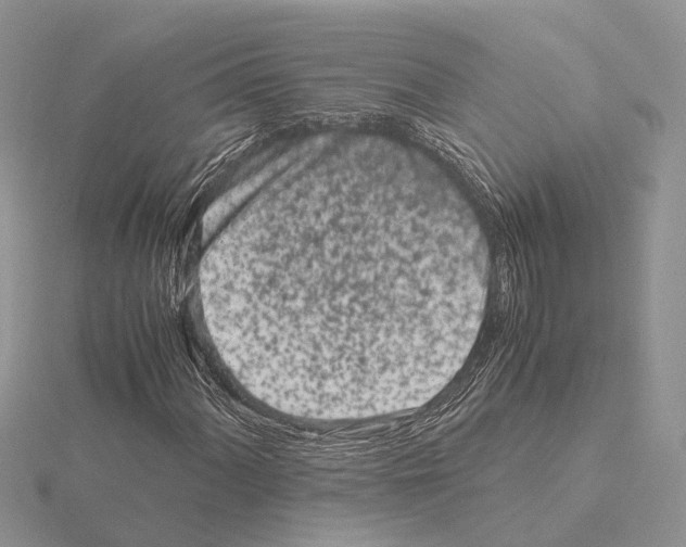 X0000115141060200912081321