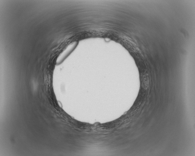 X0000115141061200912081321