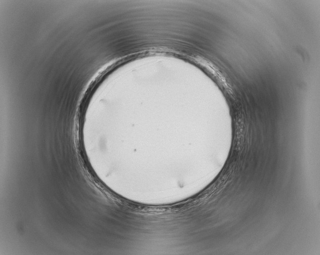 X0000115141076200912081321