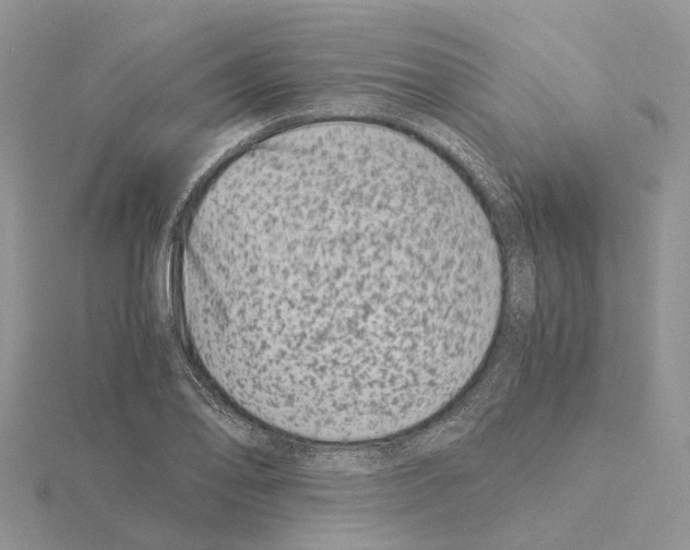 X0000115141078200912081321