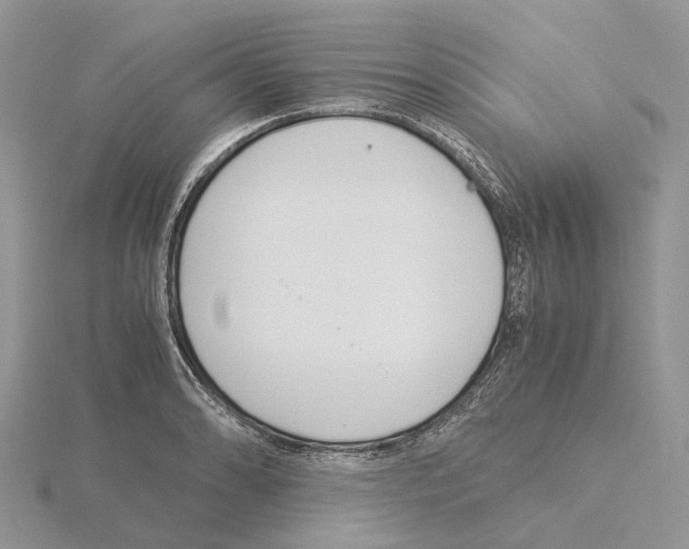 X0000115141086200912081321