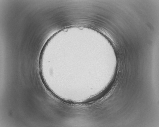 X0000115141087200912081321