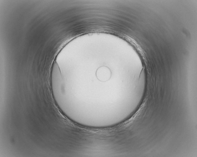 X0000115141089200912081321