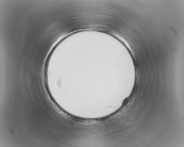 X0000115141091200912081321