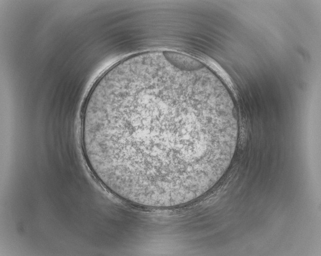 X0000115141096200912081321