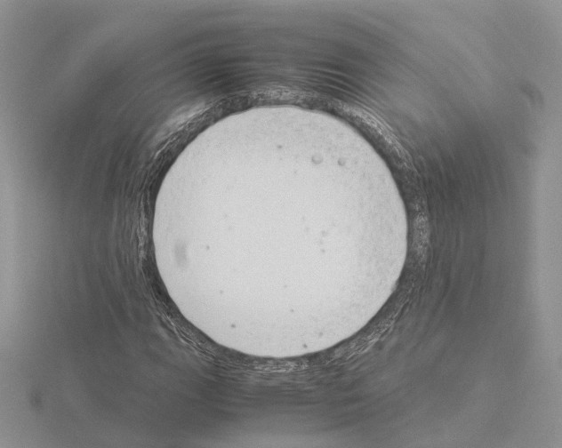 X0000115141111200912081320