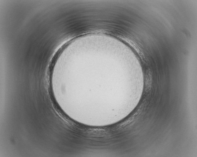 X0000115141119200912081320