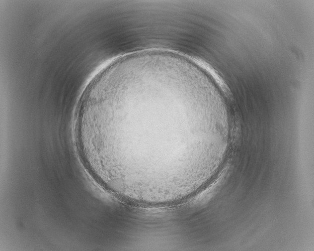 X0000115141126200912081320