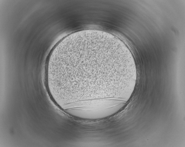 X0000115141147200912081320