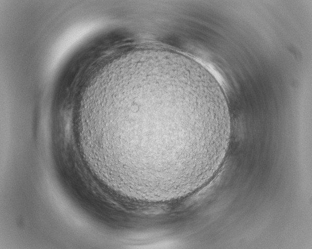 X0000115141150200912081321