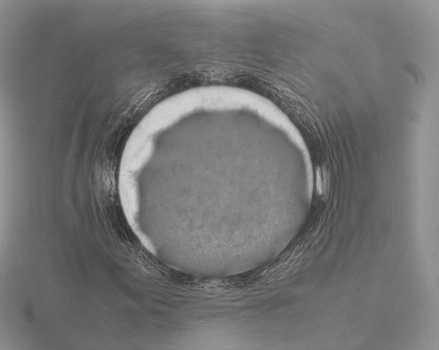 X0000115141155200912081320