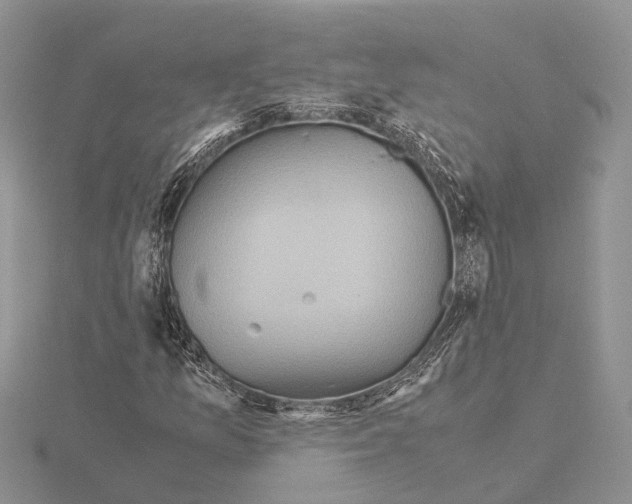 X0000115141157200912081320