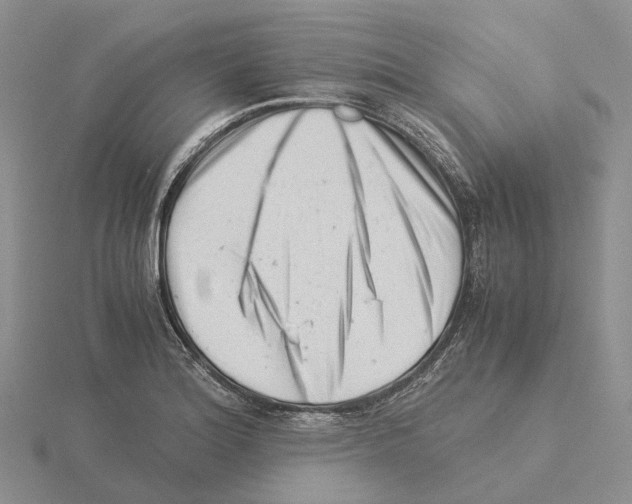 X0000115141180200912081320