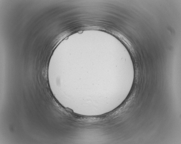 X0000115141193200912081319