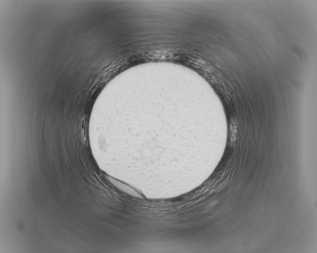 X0000115141202200912081319