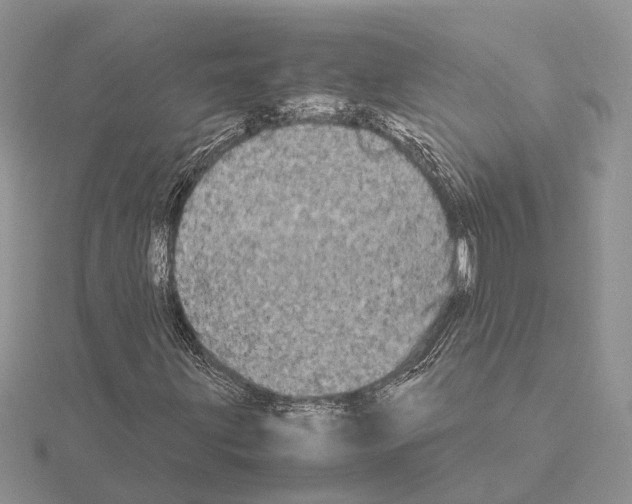 X0000115141203200912081319