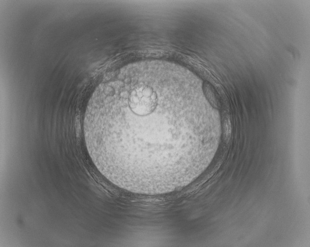 X0000115141204200912081319