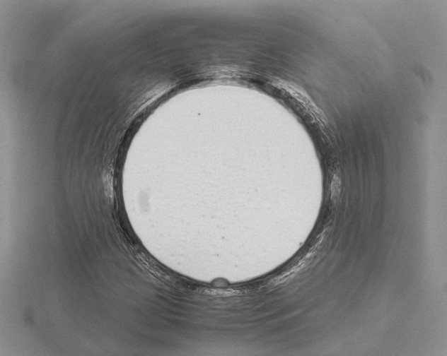 X0000115141209200912081319