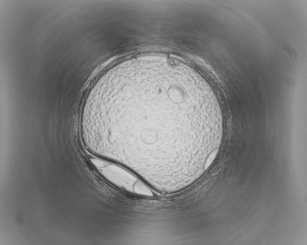 X0000115141220200912081319