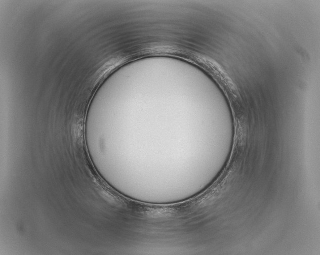 X0000115141225200912081319