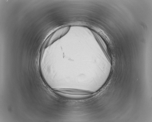 X0000115141228200912081319
