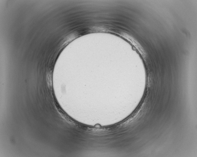 X0000115141241200912081319