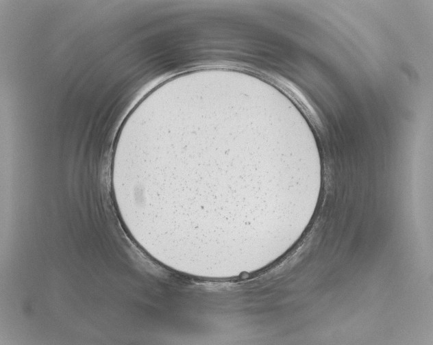 X0000115141244200912081319