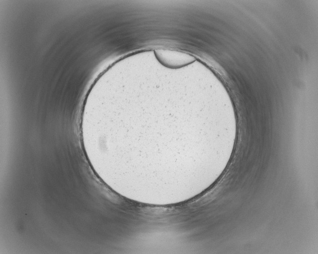 X0000115141248200912081319