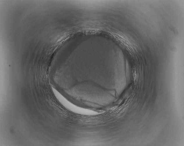 X0000115141252200912081318