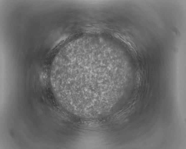 X0000115141254200912081318