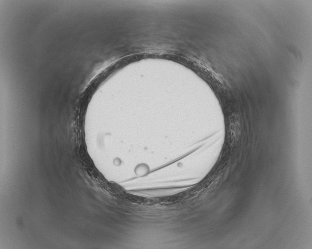 X0000115141256200912081318