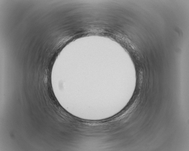 X0000115141257200912081318