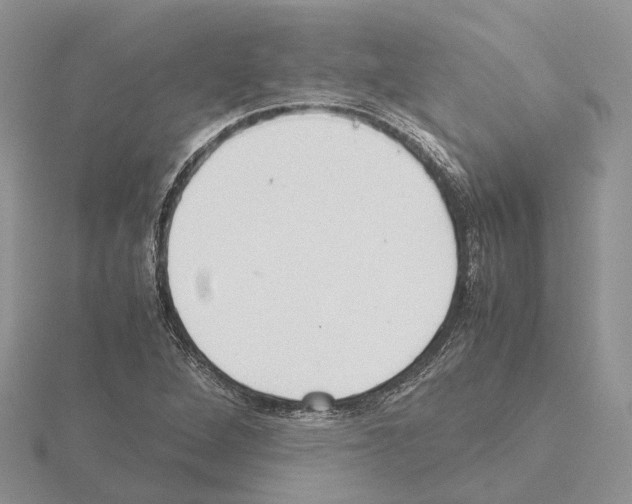 X0000115141264200912081318