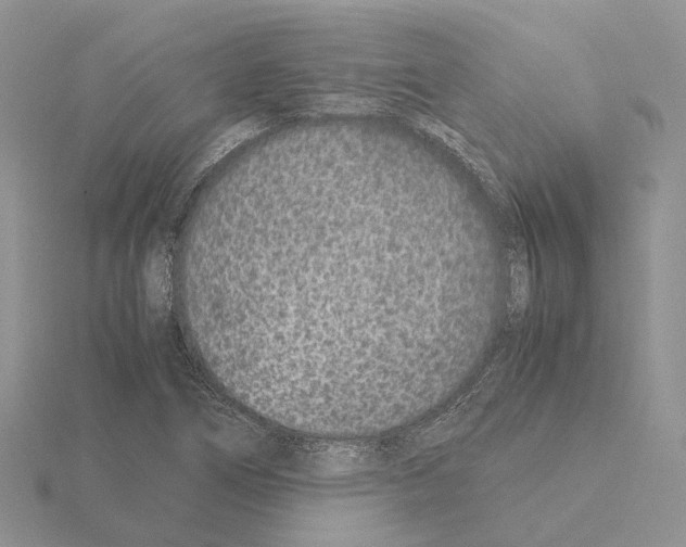 X0000115141266200912081318