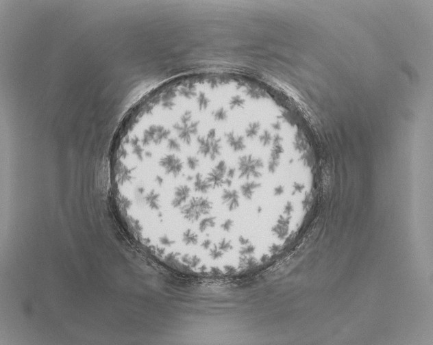 X0000115141267200912081318