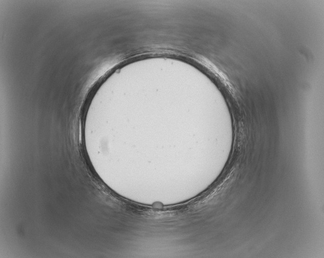 X0000115141269200912081318