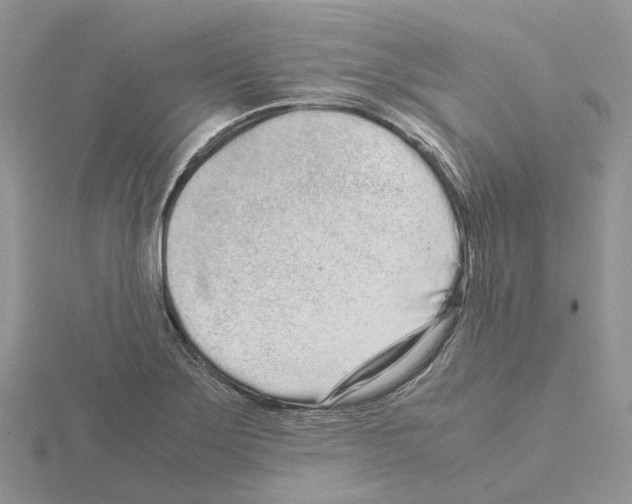 X0000115141275200912081318
