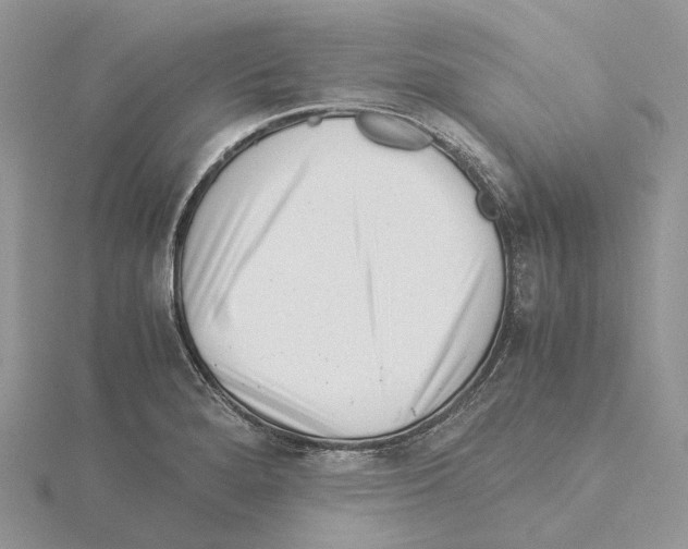 X0000115141280200912081318