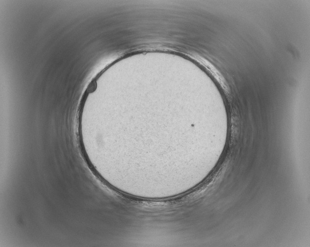 X0000115141285200912081318