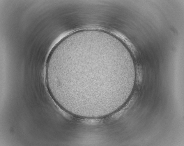 X0000115141286200912081318