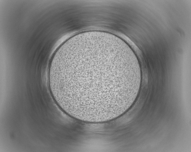 X0000115141294200912081318