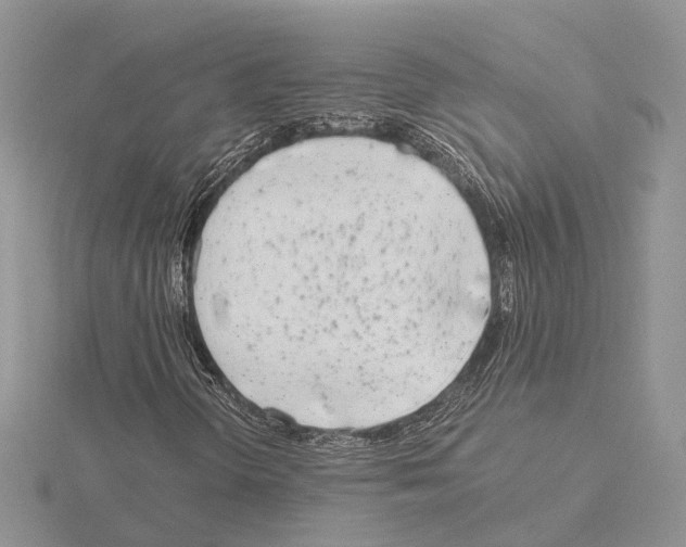 X0000115141298200912081317